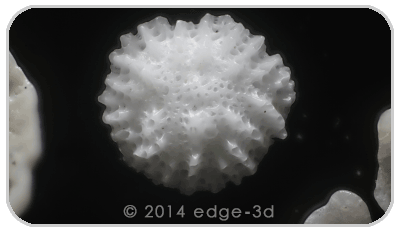 sand edge 3d microscope deep focus